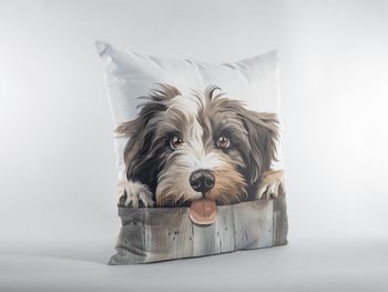P-8644-tibetan terrier
